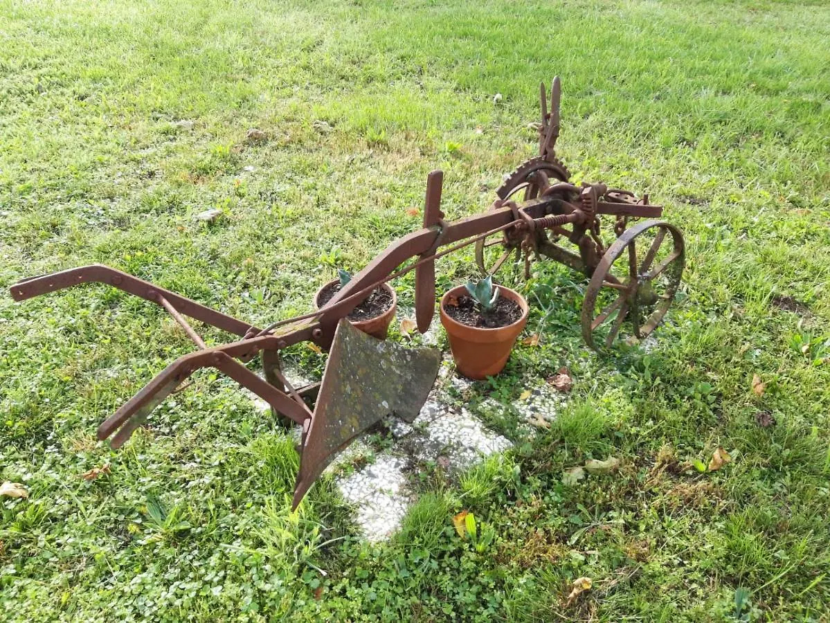 Il Merlo Coderlo Scorcetoli 0*,  Italy