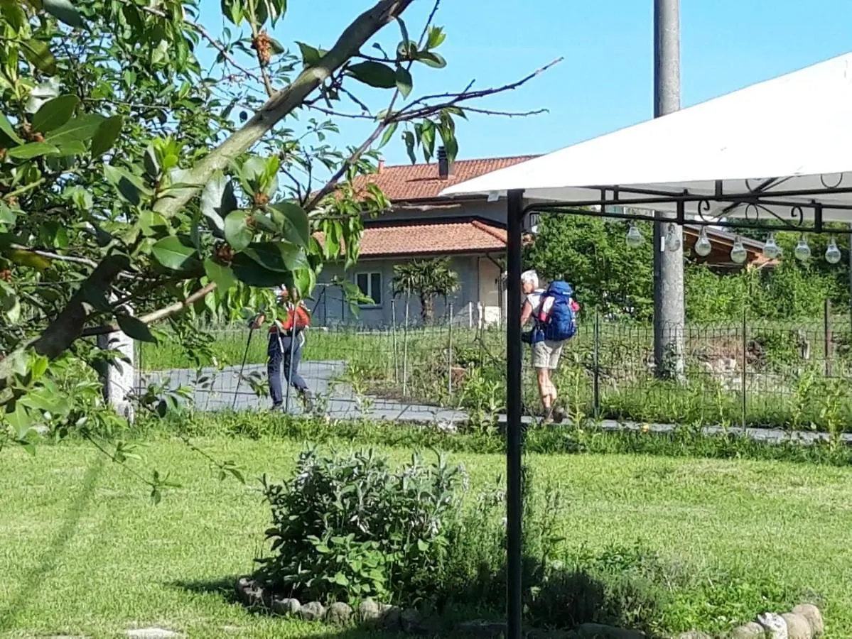 Il Merlo Coderlo Scorcetoli 0*,